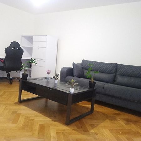 Charming Flat Center And Near The Lake Genève Eksteriør billede