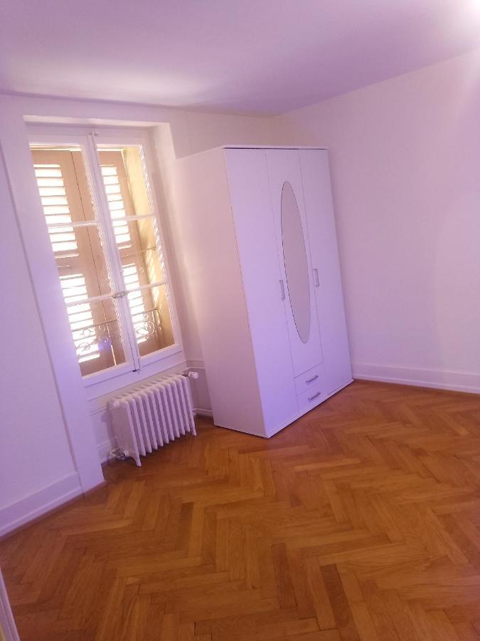 Charming Flat Center And Near The Lake Genève Eksteriør billede