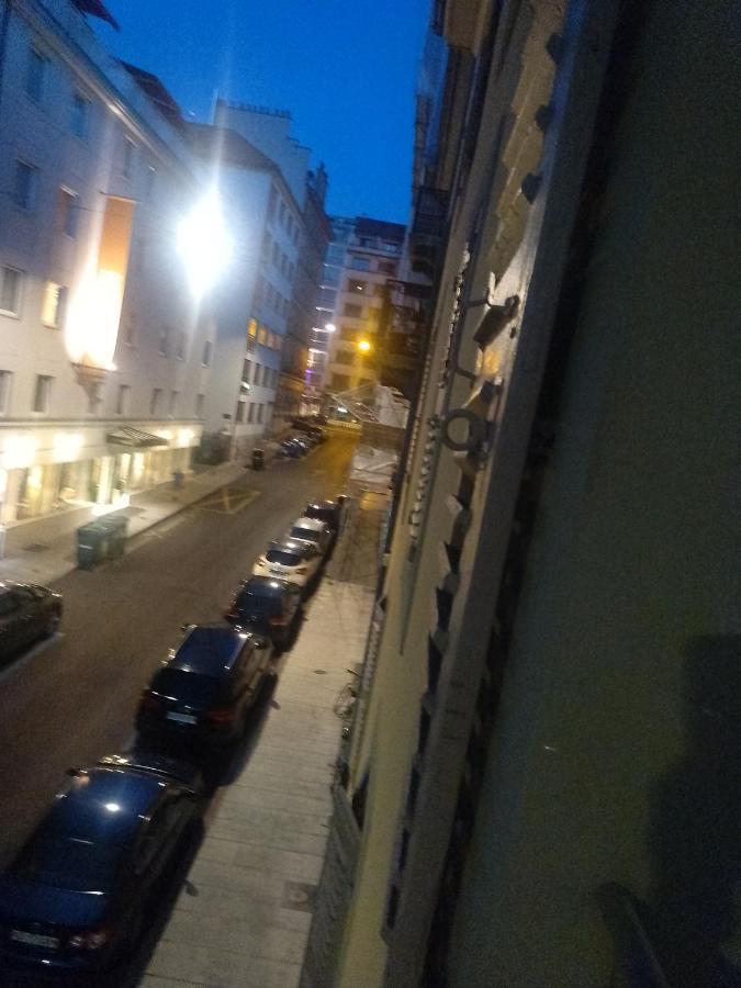 Charming Flat Center And Near The Lake Genève Eksteriør billede