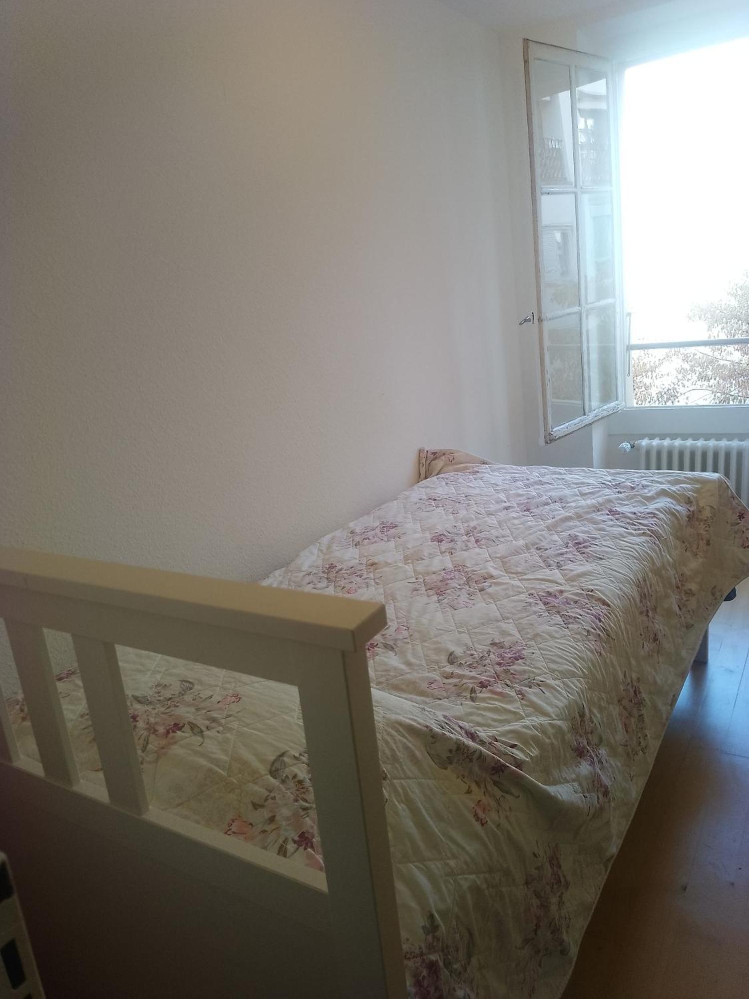 Charming Flat Center And Near The Lake Genève Eksteriør billede