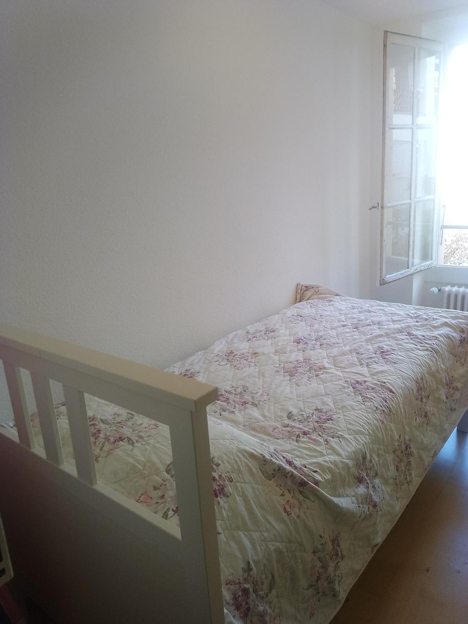 Charming Flat Center And Near The Lake Genève Eksteriør billede