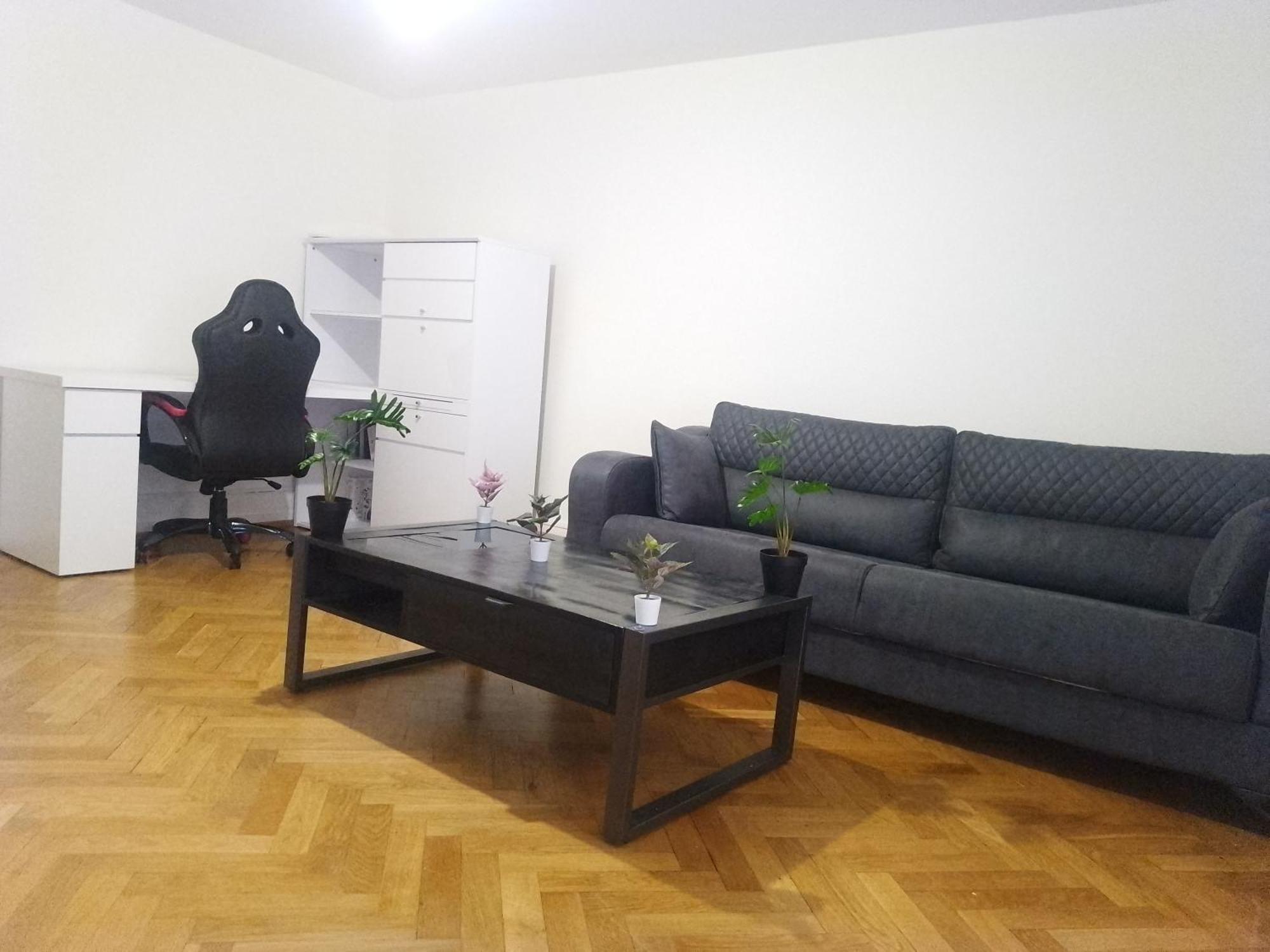 Charming Flat Center And Near The Lake Genève Eksteriør billede