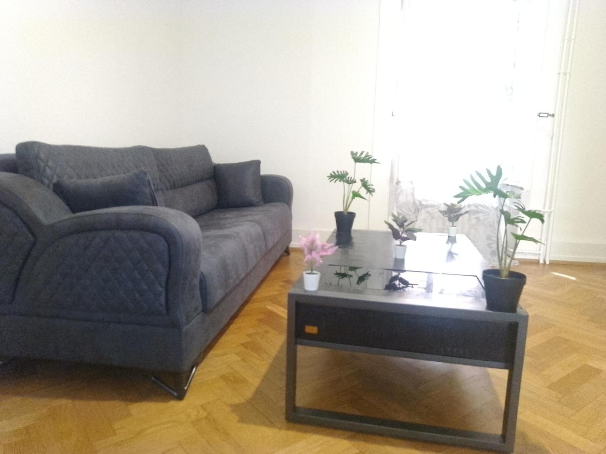 Charming Flat Center And Near The Lake Genève Eksteriør billede