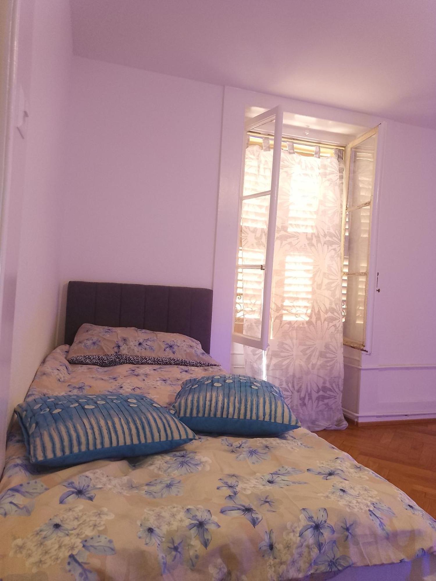 Charming Flat Center And Near The Lake Genève Eksteriør billede