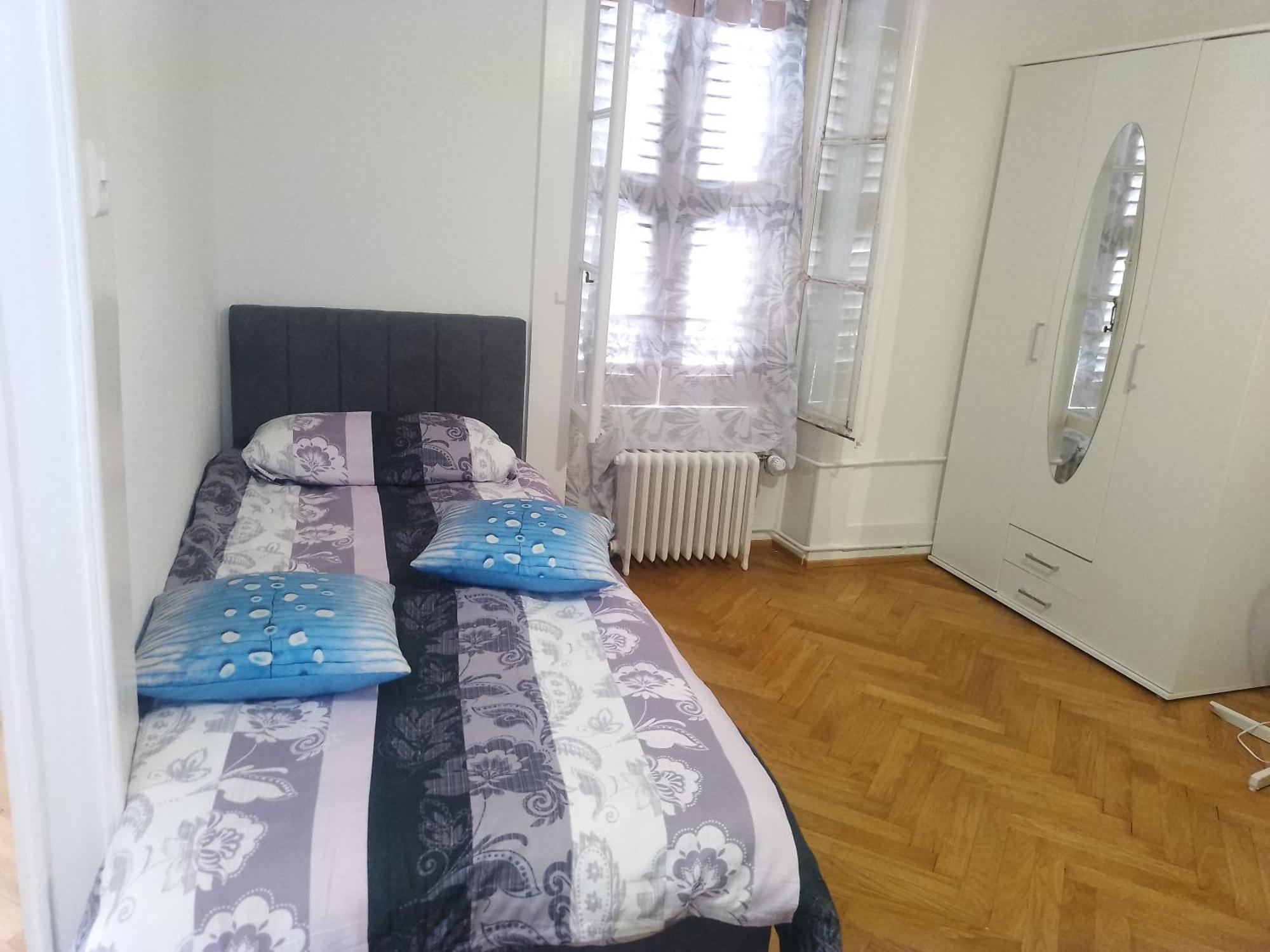 Charming Flat Center And Near The Lake Genève Eksteriør billede