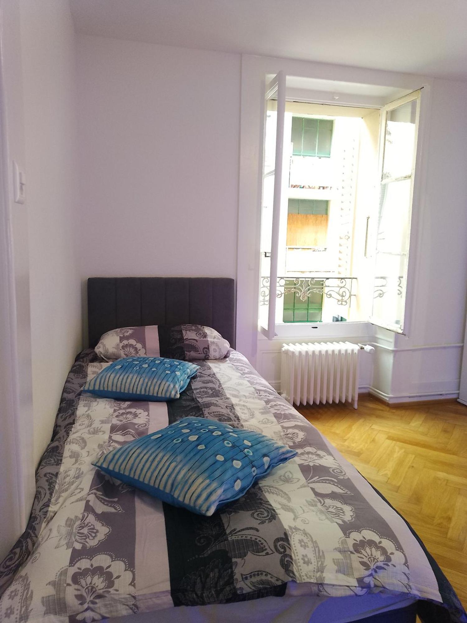 Charming Flat Center And Near The Lake Genève Eksteriør billede