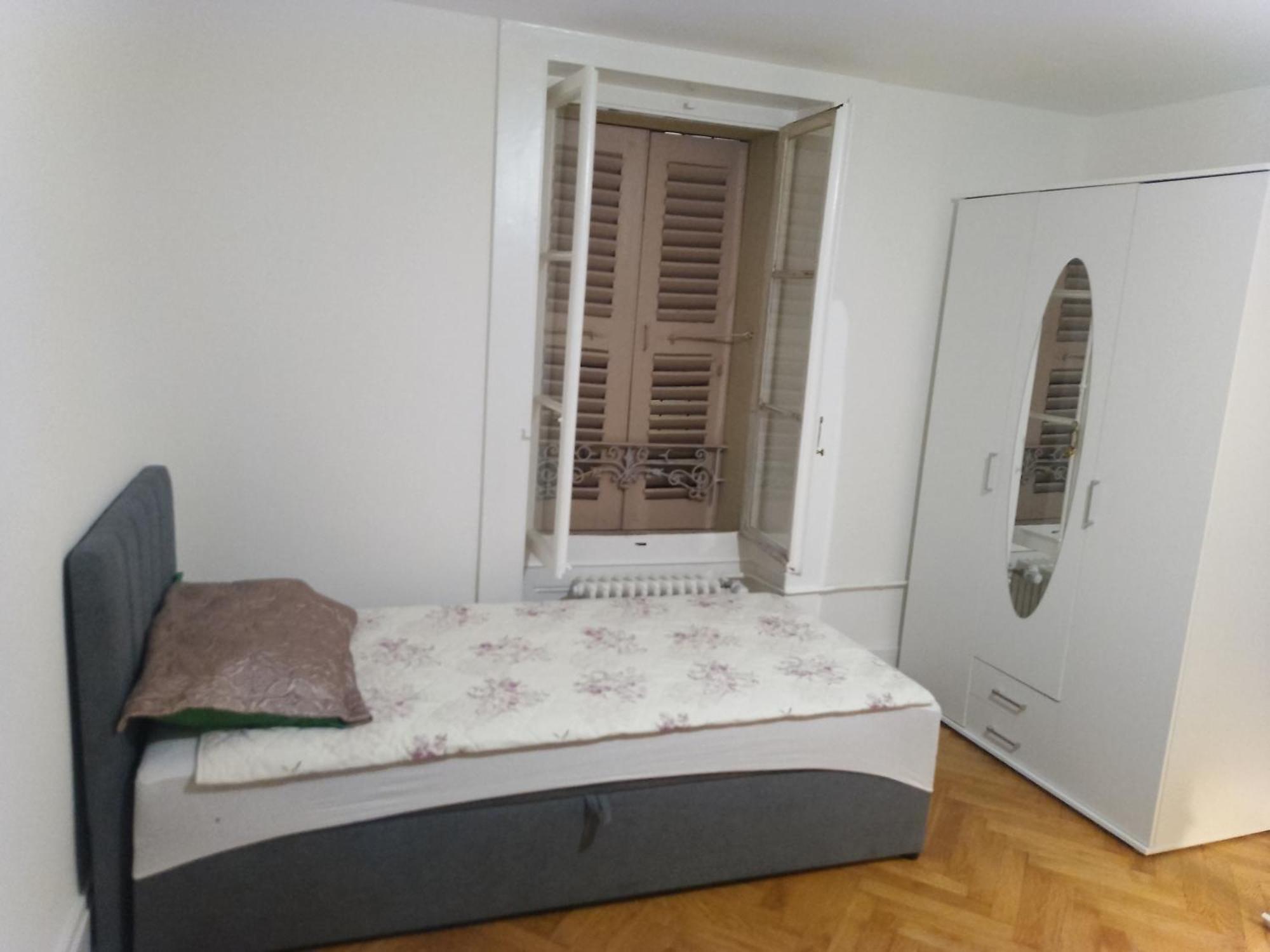 Charming Flat Center And Near The Lake Genève Eksteriør billede